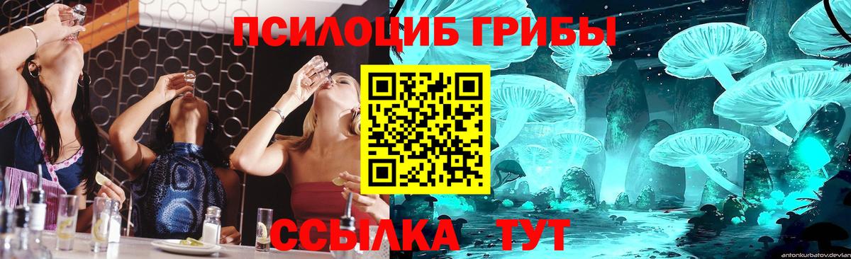 Псилоцибиновые грибы прущие грибы Жигулёвск