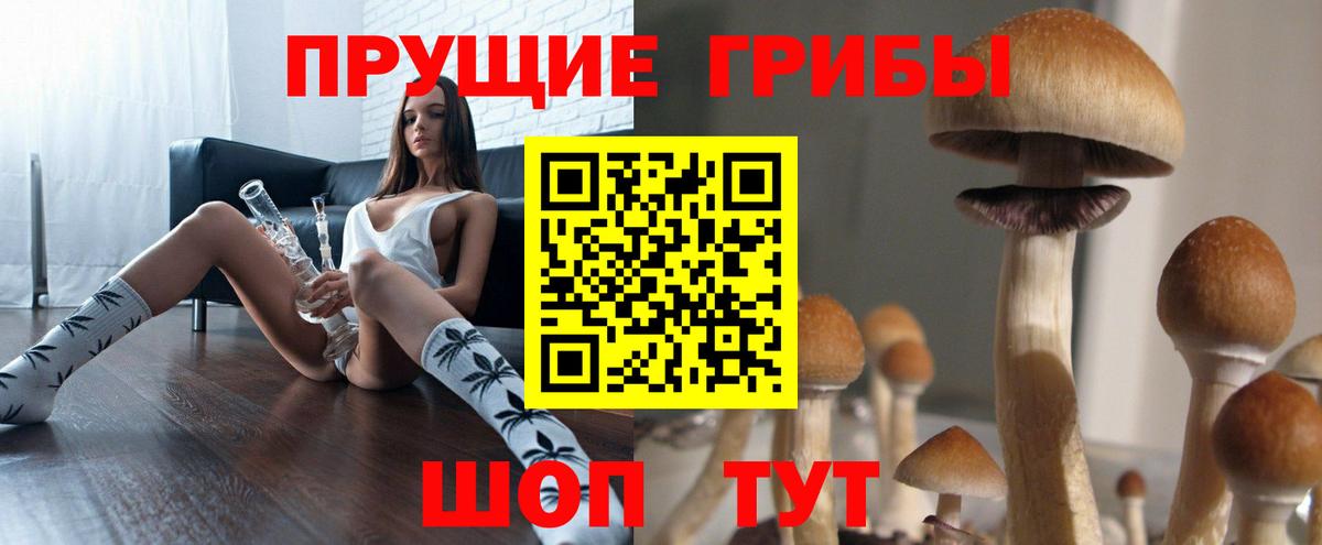 Жигулёвск  Галлюциногенные грибы прущие грибы  Вход с VPN 